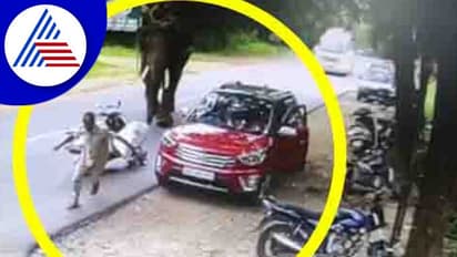 ಸಕ್ರೇಬೈಲಿನಲ್ಲಿ ಮಾವುತನನ್ನು ಅಟ್ಟಾಡಿಸಿದ ಪುಂಡಾನೆ: ಕೂದಲೆಳೆ ಅಂತರದಲ್ಲಿ ಮಾವುತ ಪಾರು