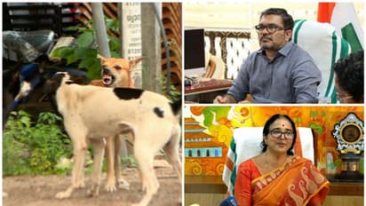 തെരുവ് നായ്ക്കളെ കൊല്ലരുതെന്ന് കോഴിക്കോട് മേയർ ബീന ഫിലിപ്പ്... സ്നേഹത്തോടെ പെരുമാറണം