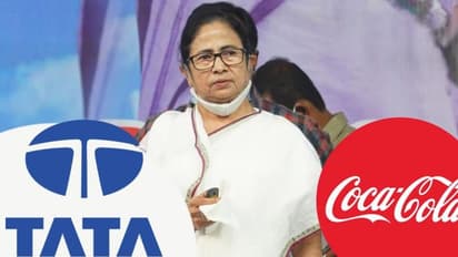 মমতার মুখ ফসকে টাটার নাম? জলপাইগুড়িতে আসল বিনিয়োগ কোকা-কোলার