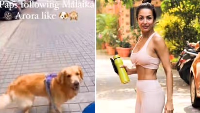 Malaika Arora shares a video of 'cute' dog named Murphy, who walks like her (WATCH)