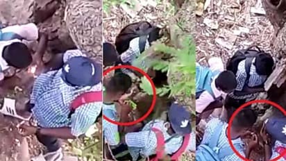 ஸ்கூல் யூனிபார்மில் மரத்தடியில் கஞ்சா அடிக்கும் அரசு பள்ளி மாணவர்கள்.. வெளியான வீடியோவால் பரபரப்பு..!