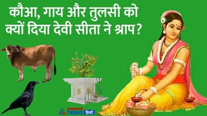 Shraddha Paksha 2022: श्राद्ध के लिए श्रेष्ठ है ये नदी, मगर श्राप के कारण जमीन के ऊपर नहीं नीचे बहती है