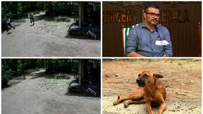  തെരുവ് നായ പ്രശ്നം: ഹോട്ട്സ്പോട്ടുകൾ കണ്ടെത്തും,ആരോഗ്യ മൃഗ സംരക്ഷണ വകുപ്പുകൾ കണക്കെടുക്കും