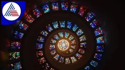 Daily Horoscope for November 17, 2022: Be careful Aries, Taurus; good day for Cancer, Leo