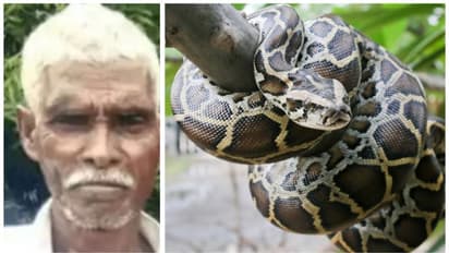 കിണറ്റിലിറങ്ങിയത് മലമ്പാമ്പിനെ രക്ഷിക്കാൻ; പാമ്പ് വരിഞ്ഞുമുറുക്കി, 55കാരന്  ദാരുണാന്ത്യം