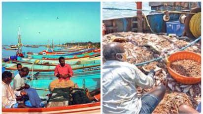 ആഴക്കടല്‍ മത്സ്യബന്ധന മാര്‍ഗ്ഗനിര്‍ദ്ദേശം: കേന്ദ്ര സര്‍ക്കാരിനെ ആശങ്ക അറിയിച്ച് കേരളം. പഠനത്തിന് വിദഗ്ധസമിതി