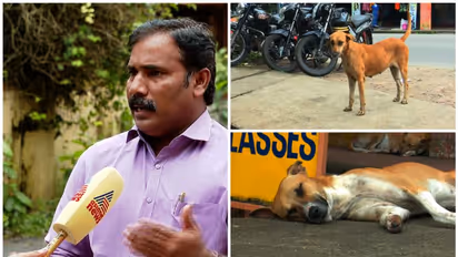തെരുവ് നായകളെ നിയന്ത്രിക്കാൻ പ്രൈവറ്റ് കെന്നൽസ് പദ്ധതിയുമായി പാലക്കാട് നഗരസഭ, പദ്ധതി സംസ്ഥാനത്ത് ആദ്യമായി