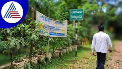 ಐಐಎಂ ಪದವೀಧರನ ಸಾವಯವ ಕ್ರಾಂತಿ: 12 ರಾಜ್ಯಗಳಲ್ಲಿ 35843 ರೈತರೊಂದಿಗೆ ಪಾಲುದಾರಿಕೆ