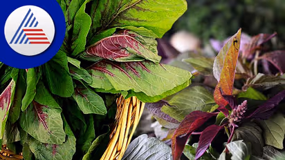 உங்கள் இரத்தத்தில் சர்க்கரை அளவை குறைக்கணுமா? அப்போ இந்த உணவுகளை கண்டிப்பா சாப்பிடுங்க..!!