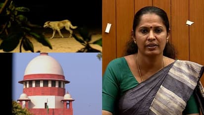 തെരുവുനായ ശല്യം: സുപ്രീംകോടതിയിലെ കേസിൽ കക്ഷി ചേരാൻ കണ്ണൂർ ജില്ലാ പഞ്ചായത്ത്, ദയാവധത്തിന് അനുമതി തേടും