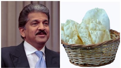 'പപ്പടത്തല്ലു'മായി മഹീന്ദ്ര മുതലാളി, എന്താ അങ്ങനൊരു ടോക്കെന്ന് ചിലര്, ഇത് ശരിയല്ലെന്ന് മറ്റു ചിലര്!