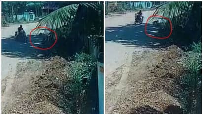 തലസ്ഥാനത്ത് വീണ്ടും തെരുവുനായ ആക്രമണം; വൃദ്ധയുടെ മുഖത്തും കാലിനും കടിയേറ്റു