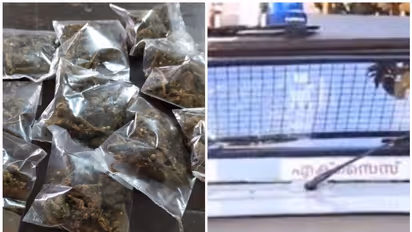 വാറണ്ടുമായി വീട്ടിലെത്തി, ആട്ടിൻ കൂട്ടിൽ കണ്ടത് ഹോർലിക്സ് കുപ്പികളിൽ കഞ്ചാവ് പൊതികൾ; പ്രതി പിടിയിൽ, റിമാൻഡ്