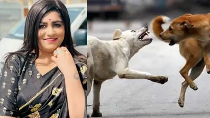 'നിങ്ങളുടെ വീട്ടില് സ്ഥലമില്ലേ, ദത്തെടുത്ത് വളര്ത്തിക്കോളൂ'; സെലിബ്രിറ്റികളോട് ലക്ഷ്മി മേനോന്