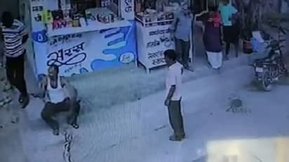 'സ്നേക്ക് മാൻ' എന്നറിയപ്പെട്ടിരുന്ന പാമ്പ് പിടുത്തക്കാരൻ പാമ്പുകടിയേറ്റ് മരിച്ചു; വീഡിയോ വൈറൽ