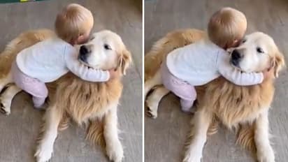 'മനസ് നിറയ്ക്കുന്ന രംഗം'; മണിക്കൂറുകള്ക്കുള്ളിൽ ലക്ഷക്കണക്കിന് പേര് കണ്ട വീഡിയോ...