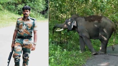 തൃശ്ശൂർ പാലപ്പിള്ളിയിലെ കാട്ടാന ആക്രമണം;  ആനകളെ തുരത്തുന്നതിനിടെ പരിക്കേറ്റ ആ‍ർആർടി അംഗം മരിച്ചു