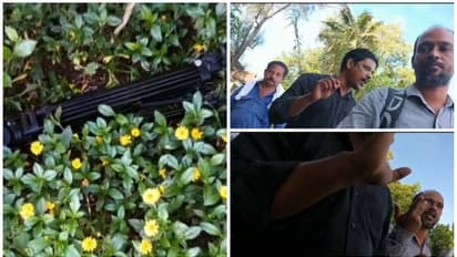 കാപികോ റിസോർട്ട് ഇന്നുമുതൽ പൊളിക്കും , റിസോർട്ടിൽ മാധ്യമ പ്രവർത്തകർക്കെതിരെ ആക്രമണം