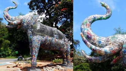 പ്ലാസ്റ്റിക്, ടയര്, സ്ക്രാപ്പ്; വലിച്ചെറിയുന്നതിൽ നിന്നൊരു ഉദ്യാനം, മൂന്നാറിലൊരുങ്ങുന്നു അപ്സൈക്കിൾ ഗാര്ഡൻ