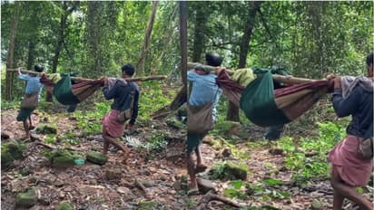 ഇടമലക്കുടിയില് ആദിവാസി യുവതിയെ ആശുപത്രിയിലെത്തിച്ചത് മരക്കൊമ്പില് തുണികെട്ടി 10 കിലോമീറ്റ് ചുമന്ന്