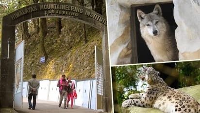 রেড পান্ডার জন্য ভারতের সেরা দার্জিলিং চিড়িয়াখানা, চতুর্থ আলিপুর জু