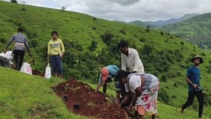 മരുഭൂമി പോലൊരു സ്ഥലം, അതിനെ പച്ചപുതപ്പിക്കാൻ രാവും പകലും അധ്വാനിച്ച് ജനങ്ങൾ