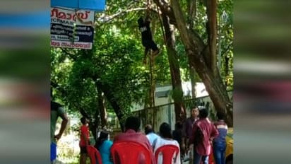 പിഎസ്സി കായികക്ഷമത പരിശോധനയ്ക്കിടെ കയറിൽ നിന്ന് താഴേക്ക് വീണു; ഉദ്യോഗാർത്ഥിക്ക് പരിക്ക്