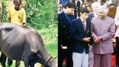 Team India: ದೇಶದ ಪರವಾಗಿ ಆಡಿದ್ದ ಕ್ರಿಕೆಟಿಗ ಇಂದು ಹಣಕ್ಕಾಗಿ ಎಮ್ಮೆ ಸಾಕ್ತಿದ್ದಾರೆ!