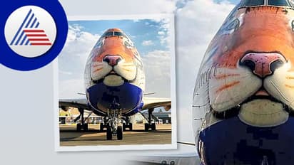 PM Narendra Modi Birthday: ಆಫ್ರಿಕನ್ ಚೀತಾಗಳ ಕರೆತರಲು ನಮೀಬಿಯಾ ತಲುಪಿದ ವಿಶೇಷ ವಿಮಾನ