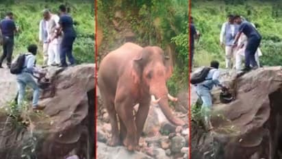 ಹೆದ್ದಾರಿಯಲ್ಲಿ ಅಟ್ಟಾಡಿಸಿದ ಗಜರಾಜ, ಬೆಟ್ಟಹತ್ತಿ ಕುಳಿತ ಮಾಜಿ ಸಿಎಂ, ವಿಡಿಯೋ ವೈರಲ್!