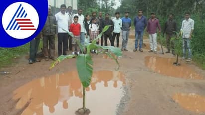 Chikkamagaluru; ಅಧಿಕಾರಿಗಳ ನಿರ್ಲಕ್ಷ ಖಂಡಿಸಿ ನಡು ರಸ್ತೆಯಲ್ಲಿ ಬಾಳೆ ಗಿಡ ನೆಟ್ಟು ಪ್ರತಿಭಟನೆ