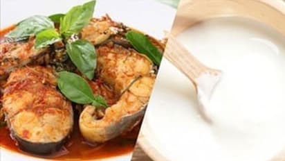 மீன் உணவுகளுடன் ஏன் தயிர் சேர்த்து சாப்பிடக்கூடாது? காரணம் இதுதான்..!!