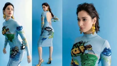 Tamannaah Bhatia: ഫാൻസി ഔട്ട്ഫിറ്റില്‍ തിളങ്ങി തമന്ന; ഡ്രസ്സിന്‍റെ വില എത്രയെന്ന് അറിയാമോ?