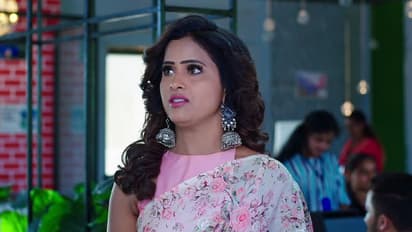 Intinti Gruhalakshmi: నందుని పొగిడి ఉద్యోగానికి ఒప్పించిన లాస్య... 'ప్రేమ్'తో ఆట ఆడుకున్న శృతి!