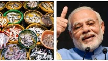 ஸ்டாலின் தொகுதியில் மாஸ் காட்டும் பாஜக..! மோடி பிறந்தநாளில் 720 கிலோ மீன், தங்க மோதிரம்..! எல்.முருகன் அதிரடி