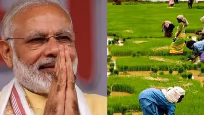 ರೈತರಿಗೆ ಬೆಂಬಲ ಬೆಲೆ  ಬಂಪರ್; ಎಂಎಸ್‌ಪಿ ದರ ಏರಿಕೆಗೆ ಮೋದಿ ಸರ್ಕಾರ ನಿರ್ಧಾರ