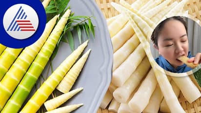 World Bamboo Day: ಬಿದಿರಲ್ಲೂ ಅಡಗಿದೆ ಆರೋಗ್ಯದ ಗುಟ್ಟು!