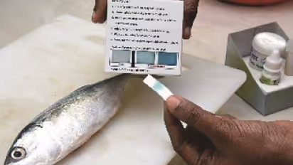 பார்மலின் ரசாயனம் பூசப்பட்ட மீன்களை அடையாளம் காண்பது எப்படி? இதோ எளிய வழிமுறைகள்..!!