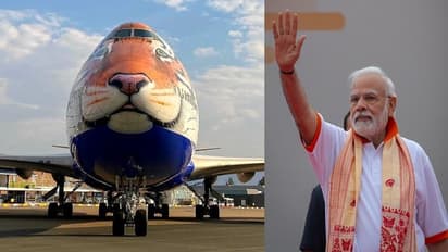 ৭০ বছর পর ভারতে আসছে চিতা, জন্মদিনে নিজে হাতে জাতীয় উদ্যানে ছাড়বেন প্রধানমন্ত্রী মোদী