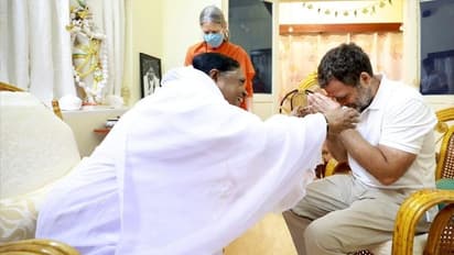 മാതാ അമൃതാനന്ദമയിയുമായി കൂടിക്കാഴ്ച നടത്തി രാഹുല്‍ ഗാന്ധി