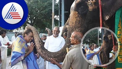 ಆನೆಗಳು ಸೊಂಡಿಲಲ್ಲಿ ಆಶೀರ್ವದಿಸಿದ್ರೆ ಅನ್ಕೊಂಡಿದ್ದೆಲ್ಲ ಆಗುತ್ತಾ?