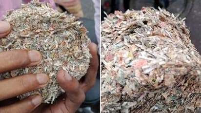 हरदोई में नोटों से भरा ट्रक सड़क पर पलटा, आग की तरह खबर फैलने के बाद लोगों की जुट गई भीड़, जानें पूरा मामला