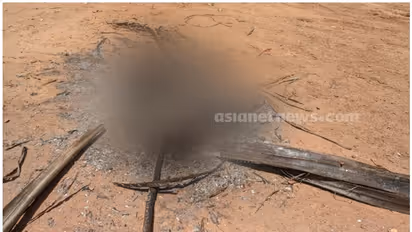 കൊല്ലത്ത് തെരുവ് നായയെ കത്തിക്കരിഞ്ഞ നിലയിൽ കണ്ടെത്തി; ചുട്ടുകൊന്നതെന്ന് സംശയം