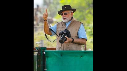 आखिर क्या है Project Cheetah? भारत को क्यों नमीबीया से लाने पड़े 8 चीते?