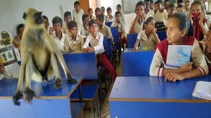 क्लास में इस नए छात्र को देखकर कुछ देर के लिए सबकी बोलती बंद हो गई.. वीडियो में देखिए आगे क्या हुआ