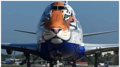  കടുവ മുഖം, മാറി വന്ന ഉടമസ്ഥർ, പ്രത്യേകതകൾ ഏറെ; അറിയാം ചീറ്റകളെ എത്തിച്ച ബോയിങ് 747-400 വിമാനത്തെക്കുറിച്ച്