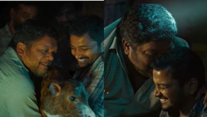 ഒരു പശുകിടാവിന്റെ ജനനവും ആഘോഷവും; 'പാൽതു ജാൻവറി'ലെ 'പിഞ്ചു പൈതൽ..' എത്തി