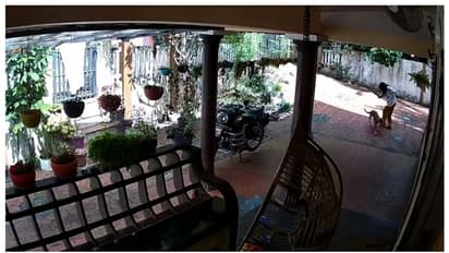 പാമ്പാടിയിൽ നാട്ടുകാരെ കടിച്ച നായയ്ക്ക് പേവിഷബാധ സ്ഥിരീകരിച്ചു