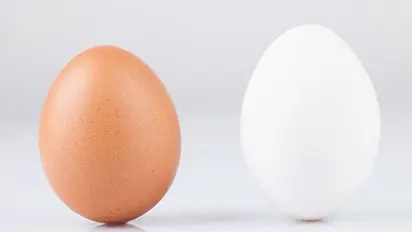 White egg or brown egg? What is the difference? Which one is better? Know it all here