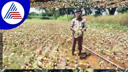 Gadag News: ಕೊಚ್ಚಿಹೋದ ಮಣ್ಣು, ಮರುಭೂಮಿಯಂತಾದ ಹೊಲ!